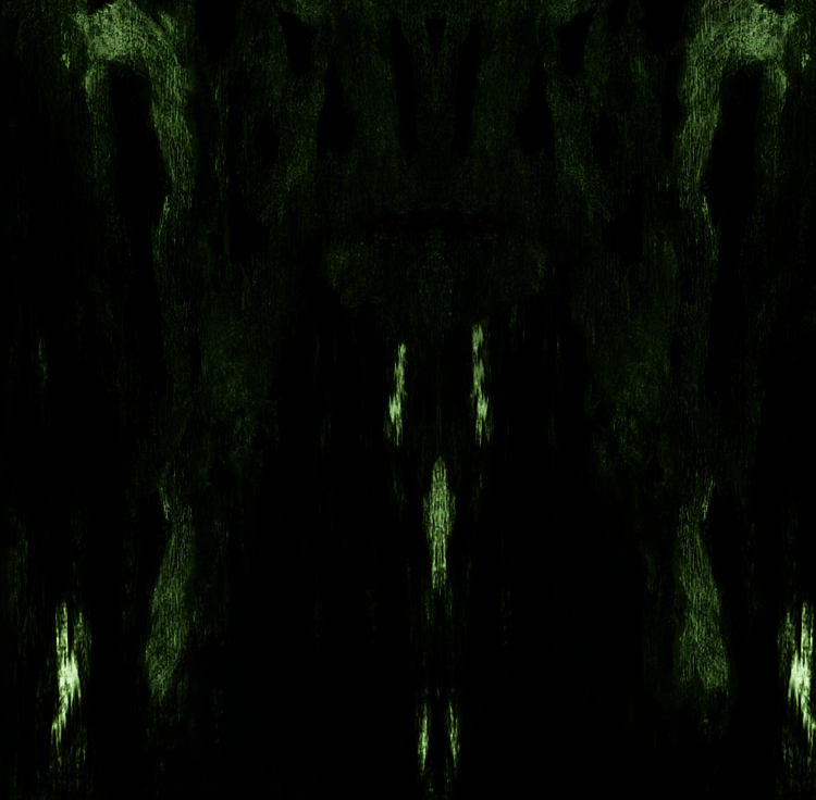 IMPETUOUS RITUAL – “Unholy Congregation Of Hypocritical Ambivalence” Now Available