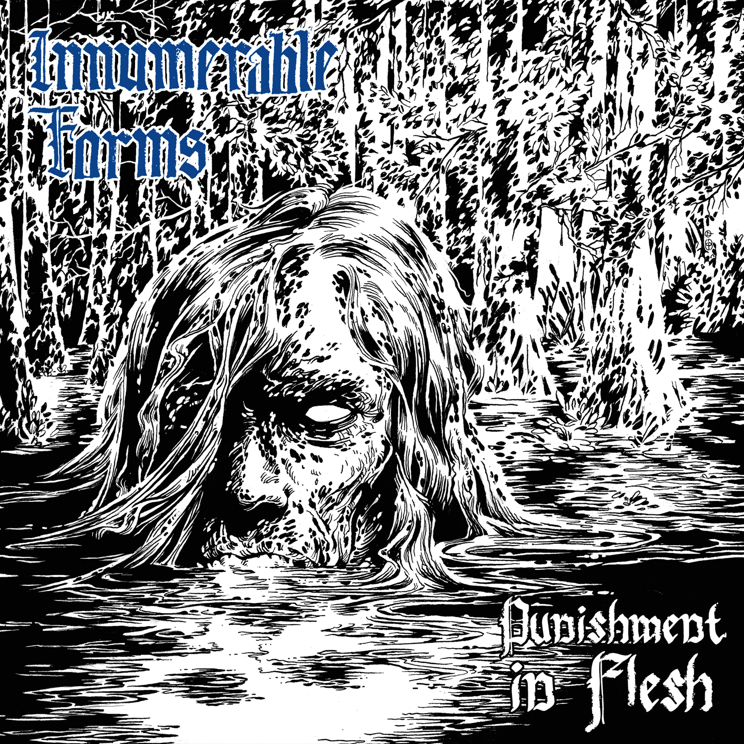 INNUMERABLE FORMS “Punishment In Flesh” Out Now