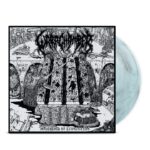 WARP CHAMBER – Implements Of Excruciation LP (Aquatic Vinyl w/Black Marble)