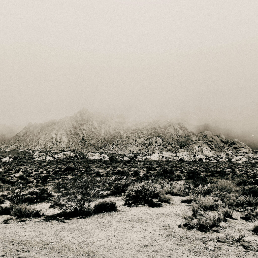 MIZMOR - Mnemonic: Ambient Mosaic