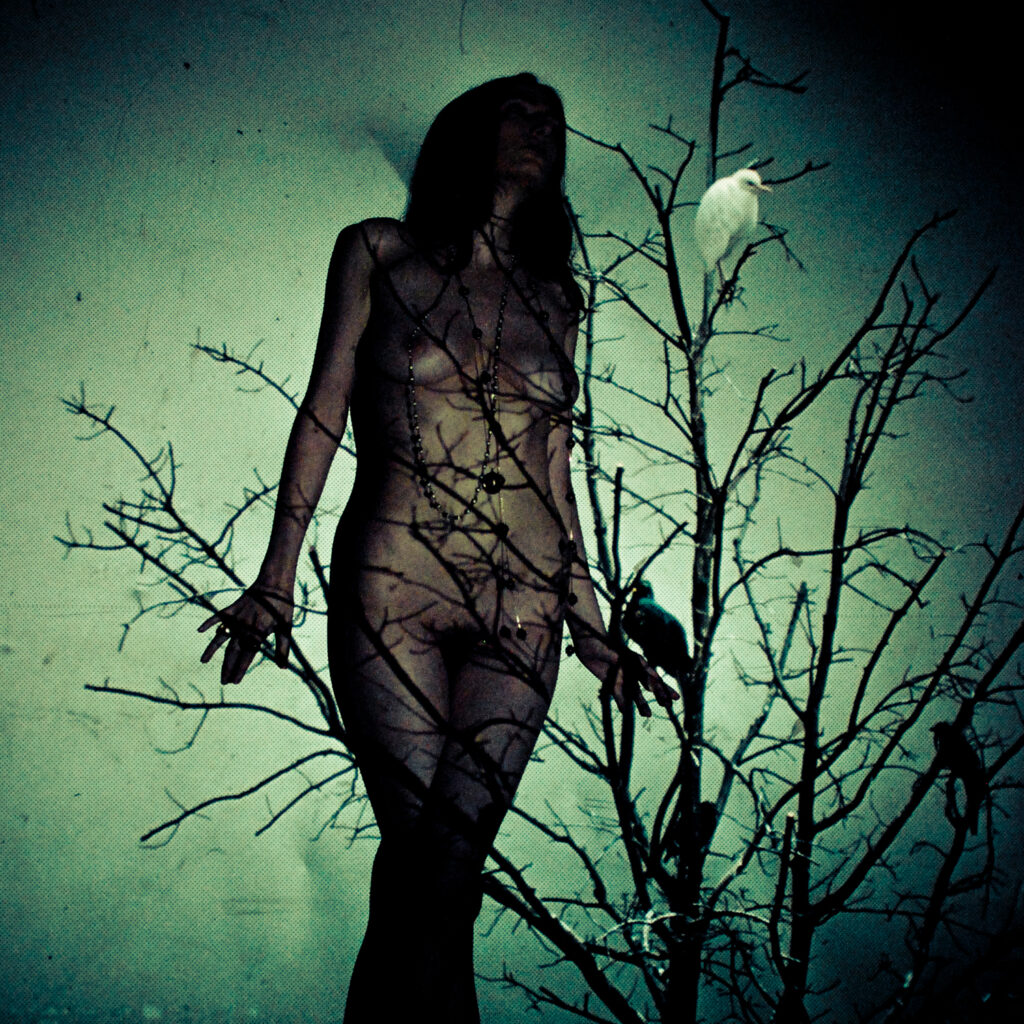 THE ATLAS MOTH - An Ache For The Distance (Vinyl Re-Press)